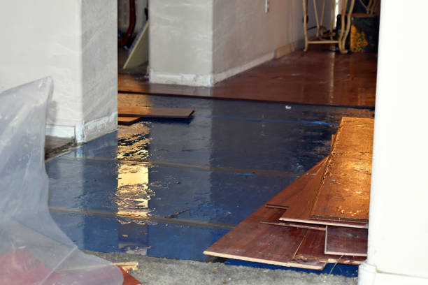 Professional Flood Cleanup technician working in Viola, IL